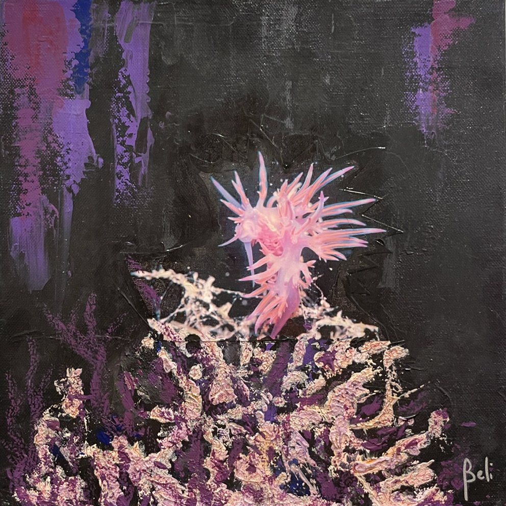 6-116 Flabeline 30x30cm © Belinda BUSSOTTI 6-116 Flabeline 30x30cm © Belinda BUSSOTTI