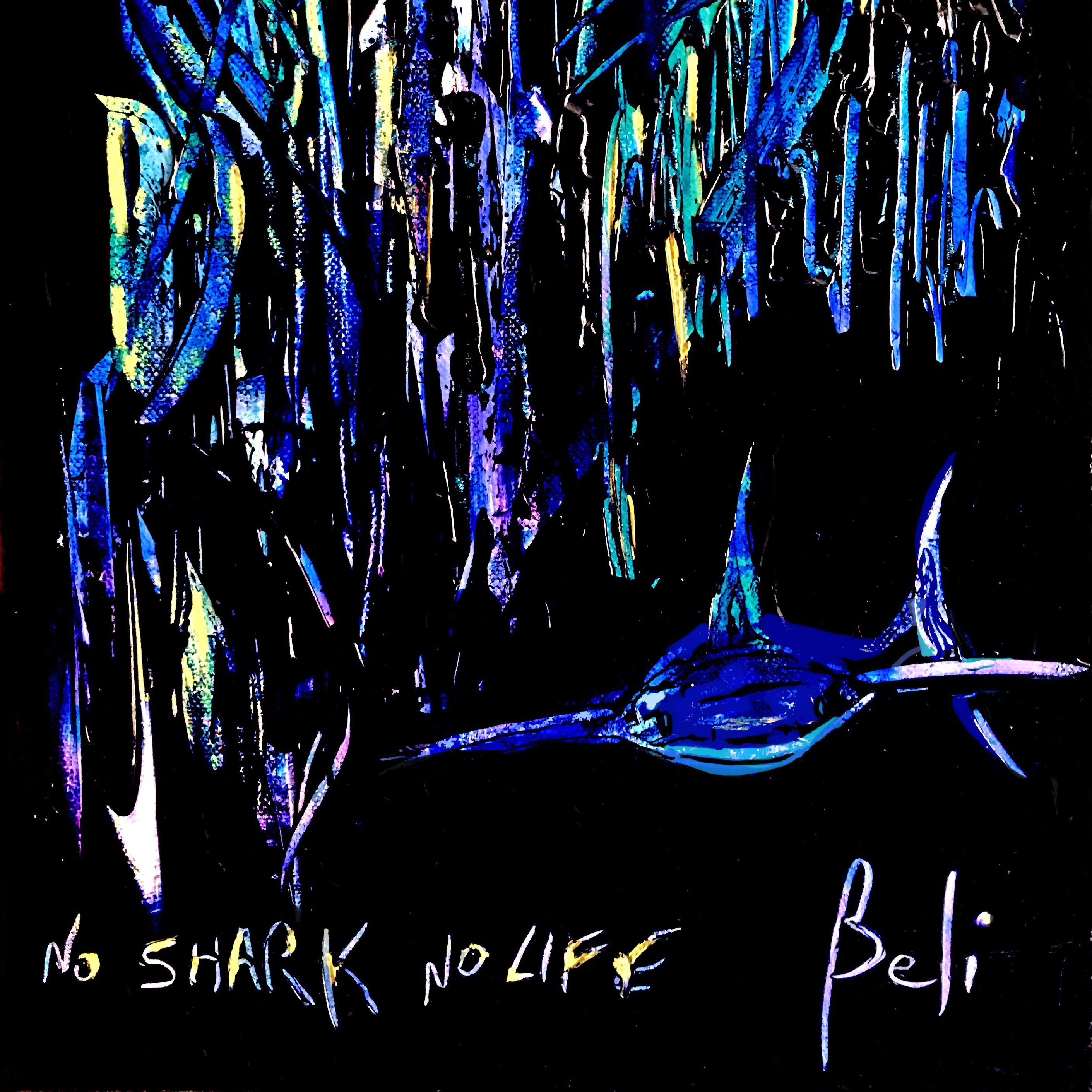 12-210 No shark, no life (toile sur chassis, 33x24cm) © Belinda BUSSOTTI 12-210 No shark, no life (toile sur chassis, 33x24cm) © Belinda BUSSOTTI