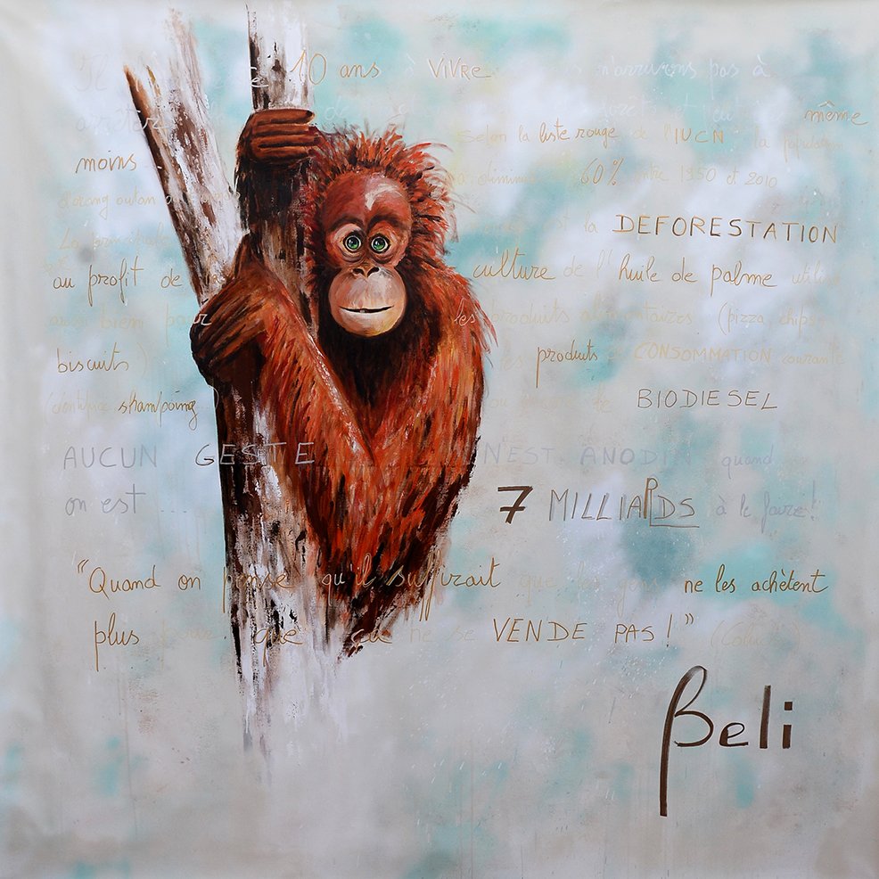  © Belinda BUSSOTTI