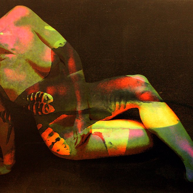 12-214 Shark harmony © Belinda BUSSOTTI 12-214 Shark harmony © Belinda BUSSOTTI