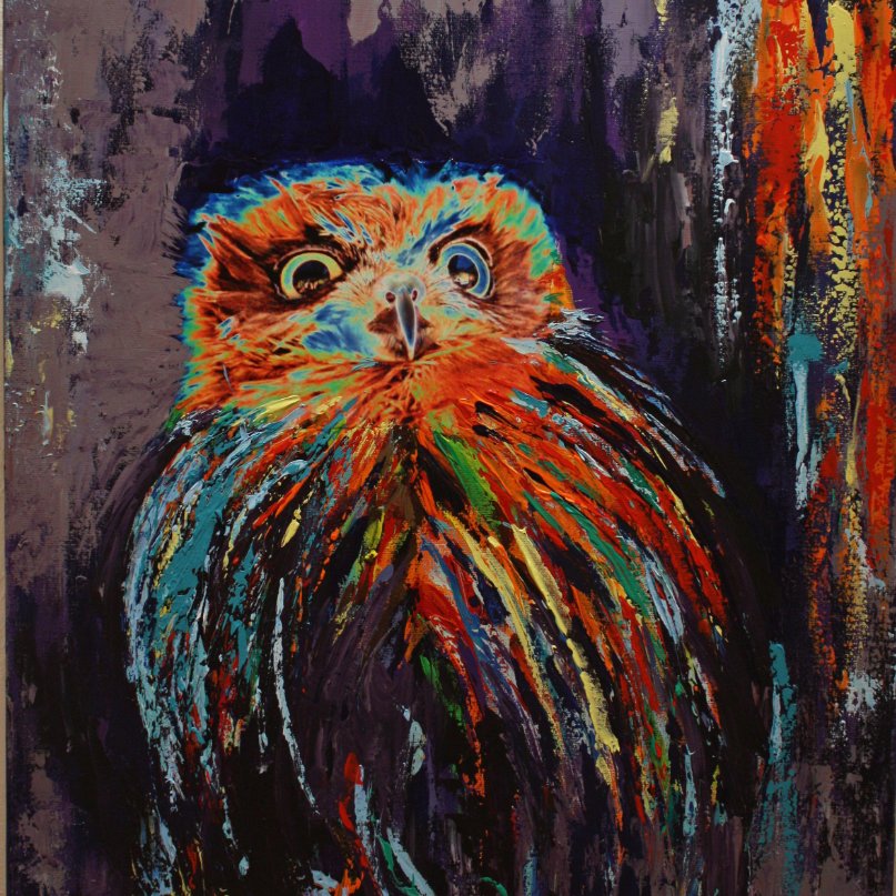 9-167 Hibou psychédélique (81x65cm) © Belinda BUSSOTTI 9-167 Hibou psychédélique (81x65cm) © Belinda BUSSOTTI