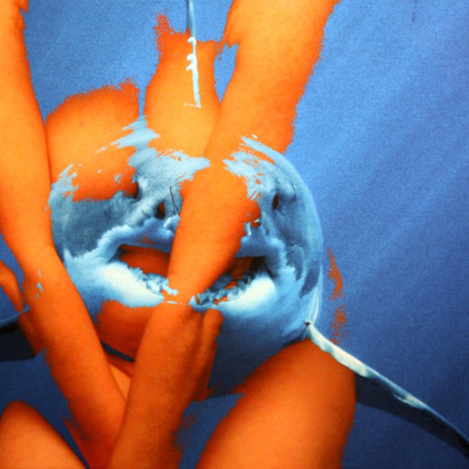 13-230P Grand blanc 66x100cm © Belinda BUSSOTTI 13-230P Grand blanc 66x100cm © Belinda BUSSOTTI