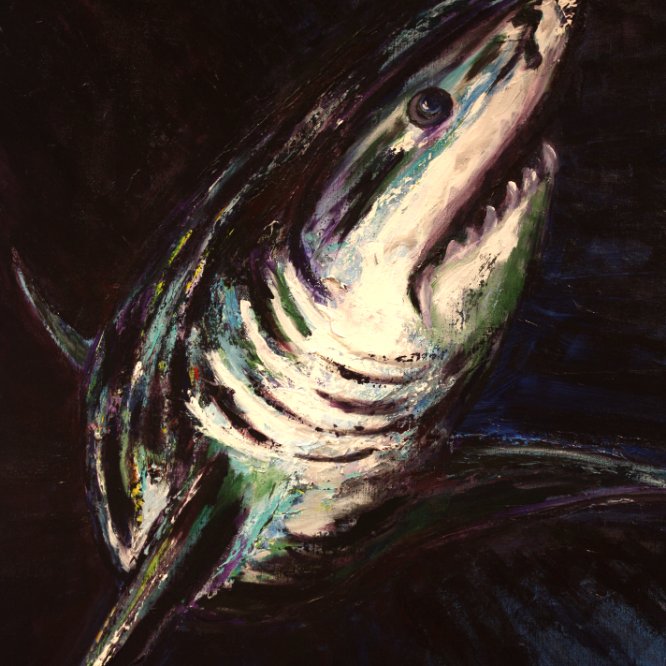 15-248 Great White © Belinda BUSSOTTI 15-248 Great White © Belinda BUSSOTTI