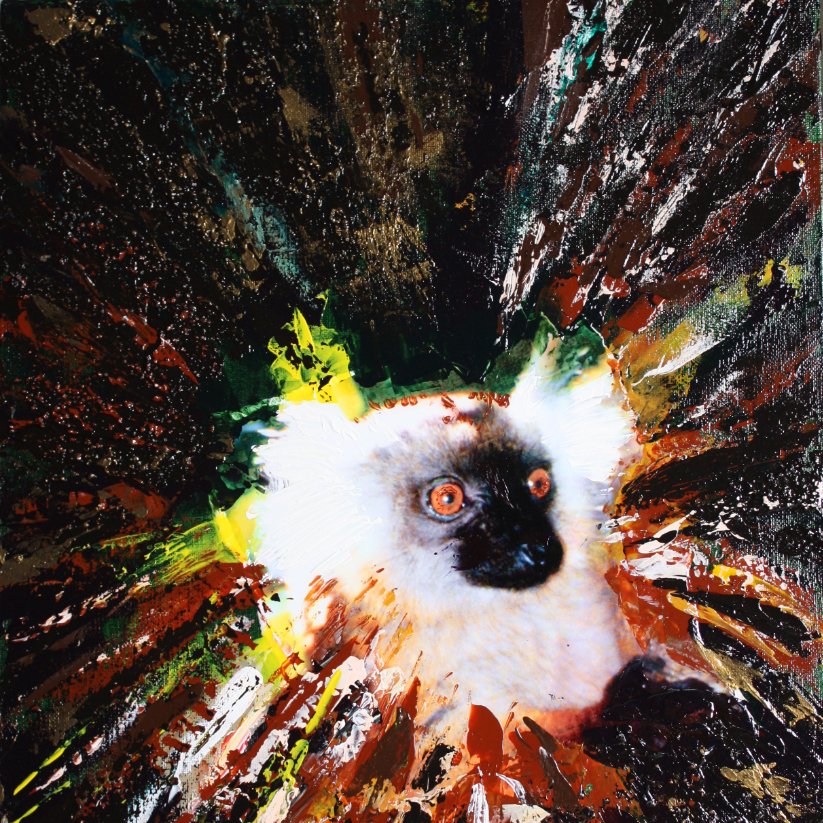 10-182 Sauvons les lémuriens (48x36cm) © Belinda BUSSOTTI 10-182 Sauvons les lémuriens (48x36cm) © Belinda BUSSOTTI