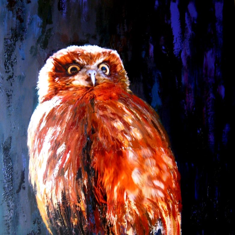 8-160 Il gufo 116x89cm) © Belinda BUSSOTTI 8-160 Il gufo 116x89cm) © Belinda BUSSOTTI